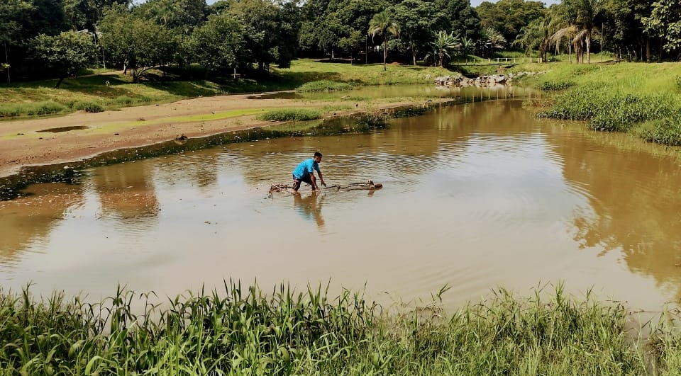 Homem salva cachorra que ficou presa em lama de parque em Goiânia; vídeo