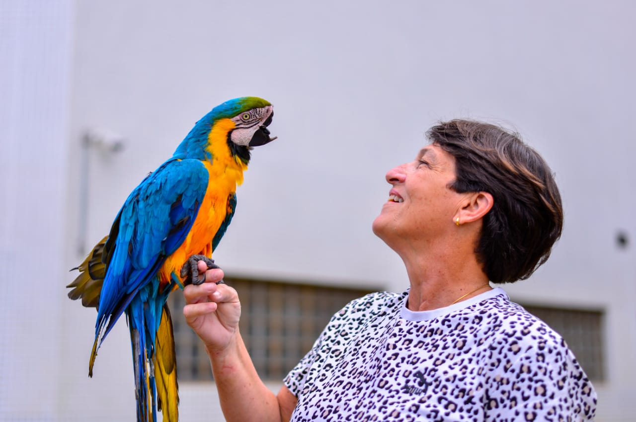 Conheça a história do cão Baré e da arara Rosa (Foto: Jucimar de Sousa/Mais Goiás)