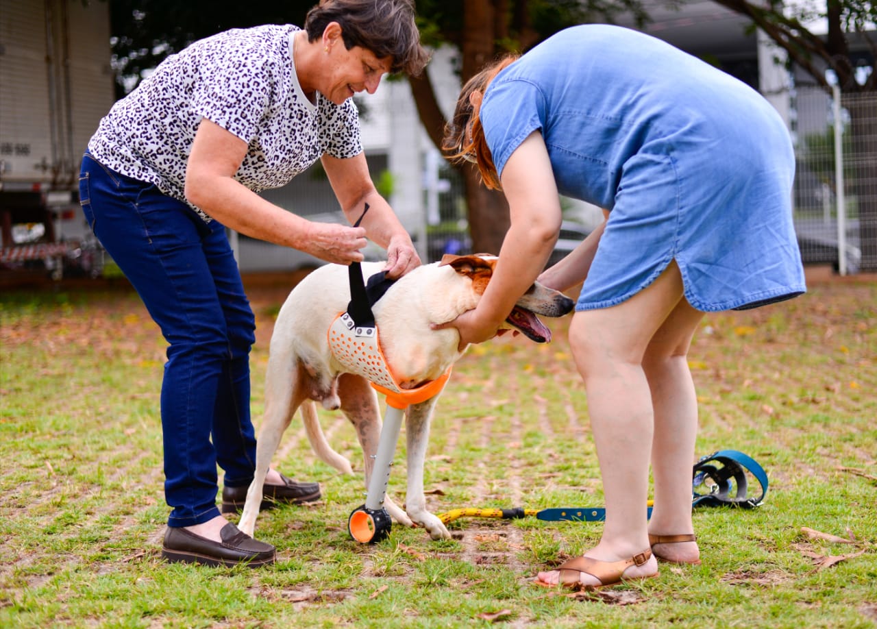 Conheça a história do cão Baré e da arara Rosa (Foto: Jucimar de Sousa/Mais Goiás)
