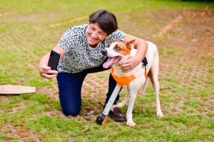 Conheça a história do cão Baré e da arara Rosa (Foto: Jucimar de Sousa/Mais Goiás)