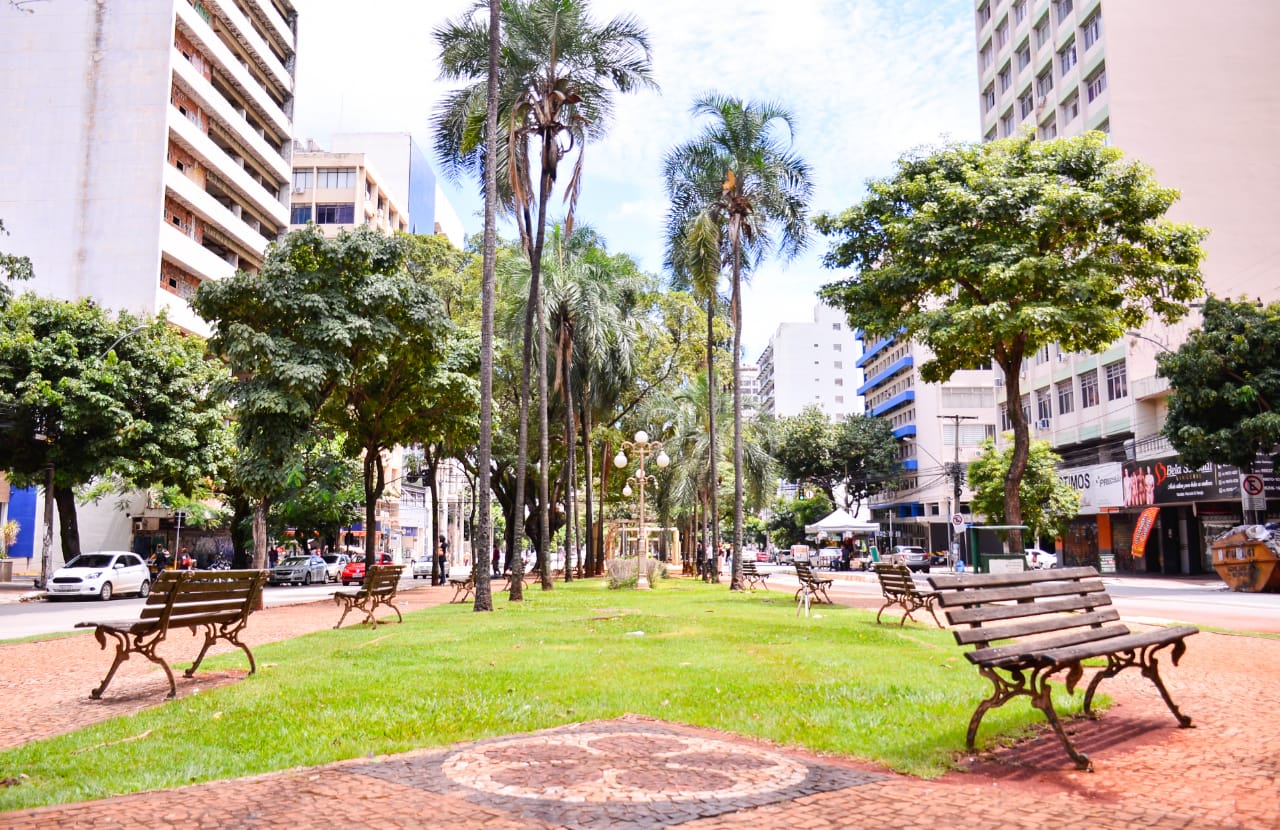 A Prefeitura de Goiânia fará um drive-thru para entregar mudas de árvores nativas do Cerrado nesta segunda-feira (7).(Foto: Jucimar de Sousa/Mais Goiás)