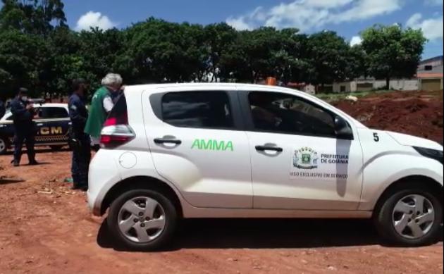 Em quatro dias Amma multa mais de 30 caminhões por descarte irregular de lixo na mesma área, em Goiânia