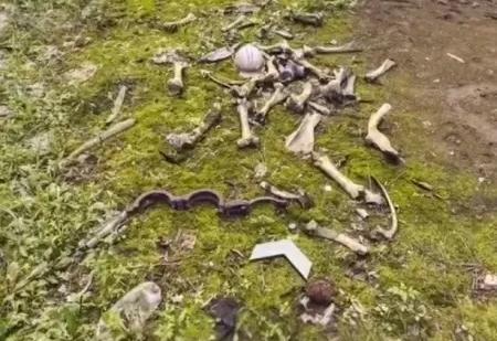 TikToker viaja por Chernobyl com Google Maps e viraliza com achado macabro; assista