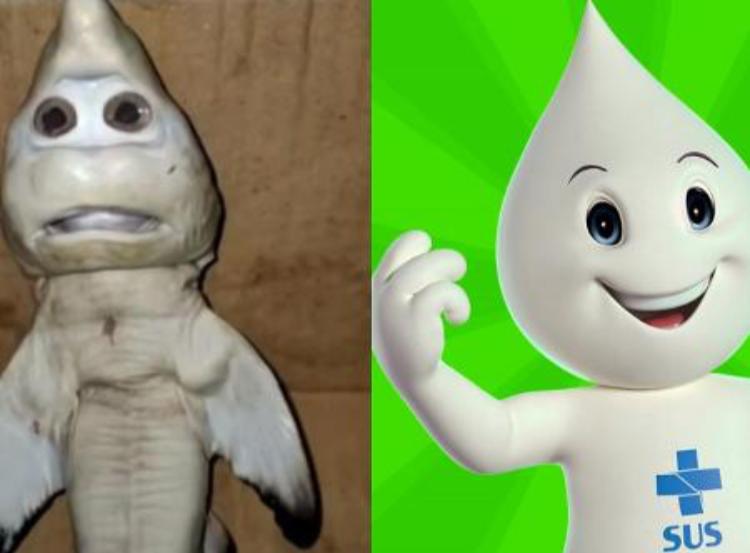 Se você acessou a web nesta quarta-feira (24) é provável que tenha se deparado com a foto de um animal com uma feição muito estranha. O filhote de tubarão com rosto