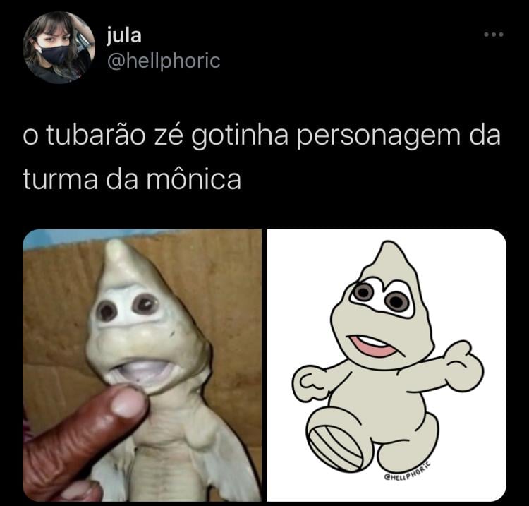 Tubarão com cara 'humana' é comparado ao Zé Gotinha; veja os memes