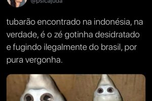 Tubarão com cara 'humana' é comparado ao Zé Gotinha (Foto: Reprodução/UOL)