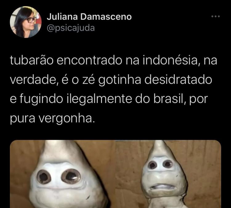 Tubarão com cara 'humana' é comparado ao Zé Gotinha (Foto: Reprodução/UOL)