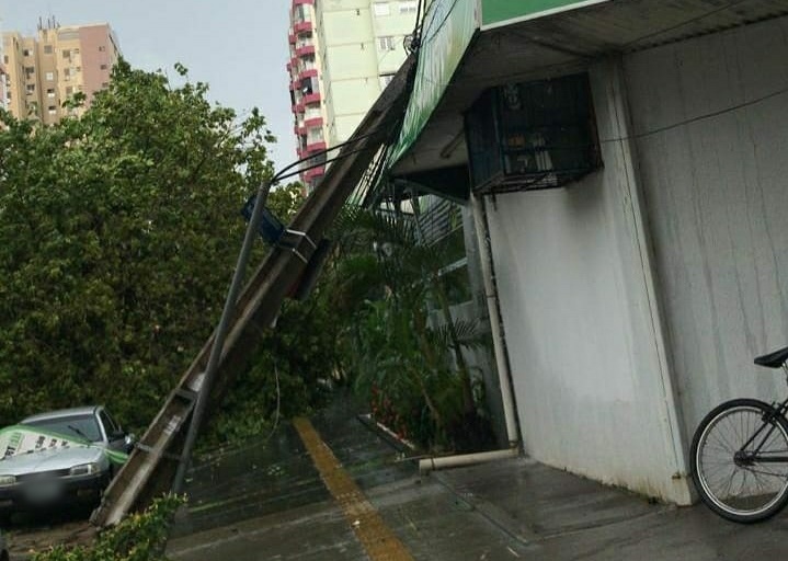 Chuva deixa ruas alagadas e provoca queda de 19 árvores em Goiânia