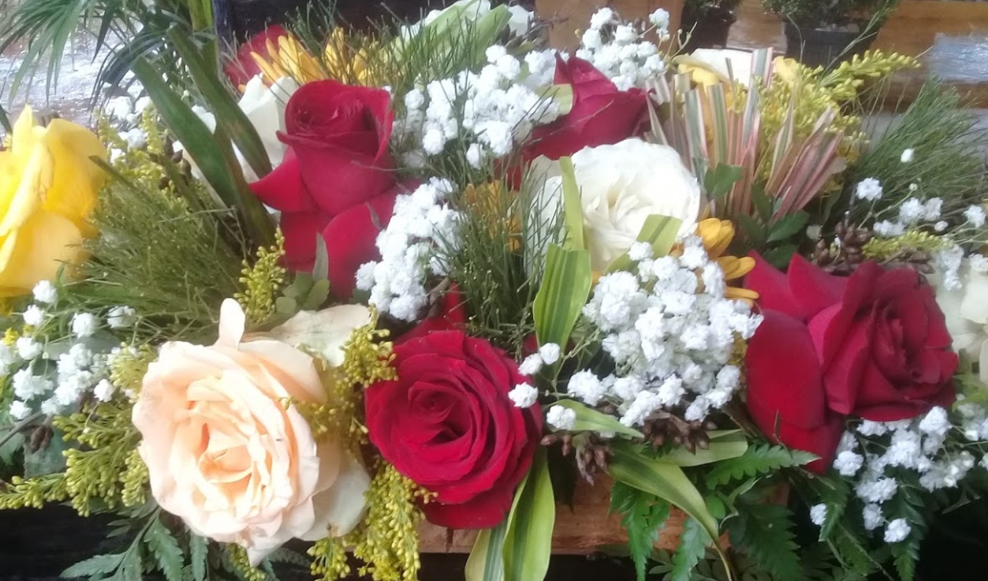 floriculturas em Goiânia