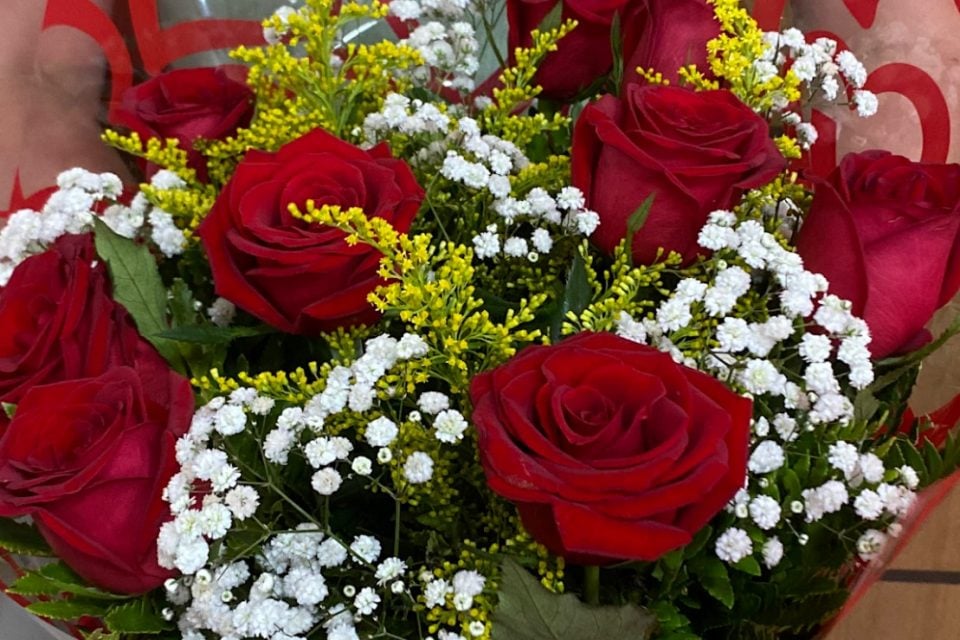 floriculturas em Goiânia