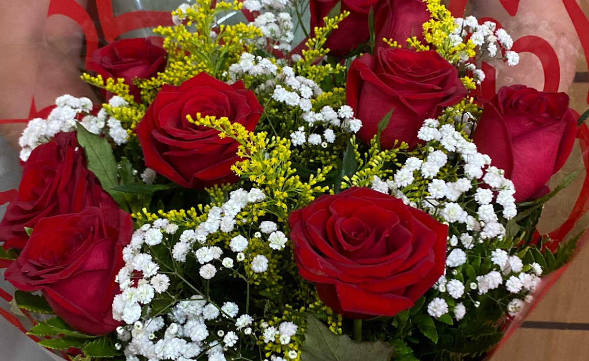 floriculturas em Goiânia