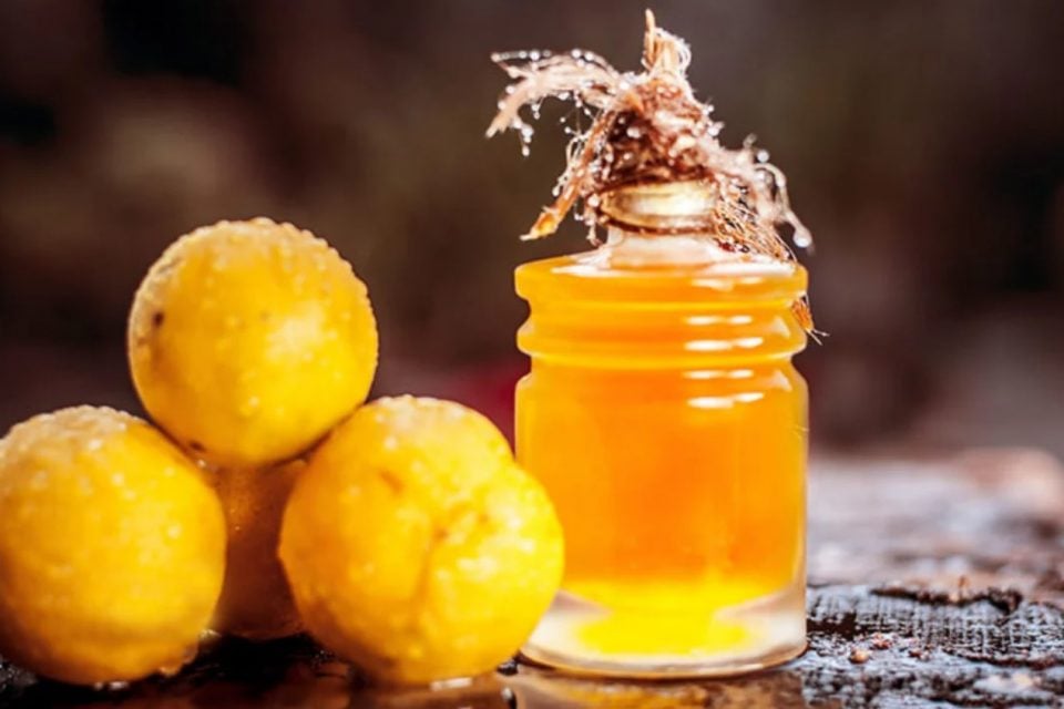 pequi culinária goiana curiosidades