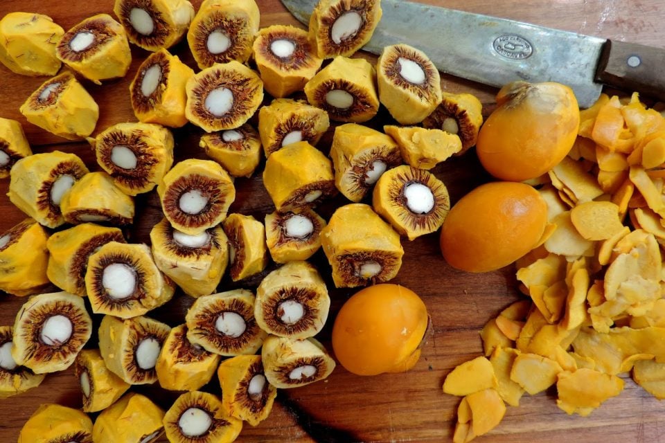 pequi culinária goiana