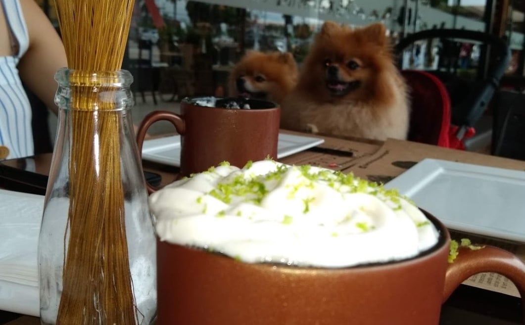 pet friendly Goiânia