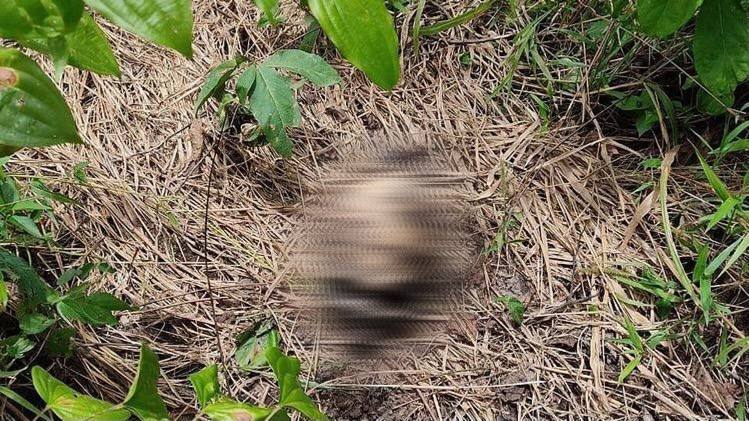 Vizinho é preso suspeito de matar e esconder corpo de idoso em Flores de Goiás