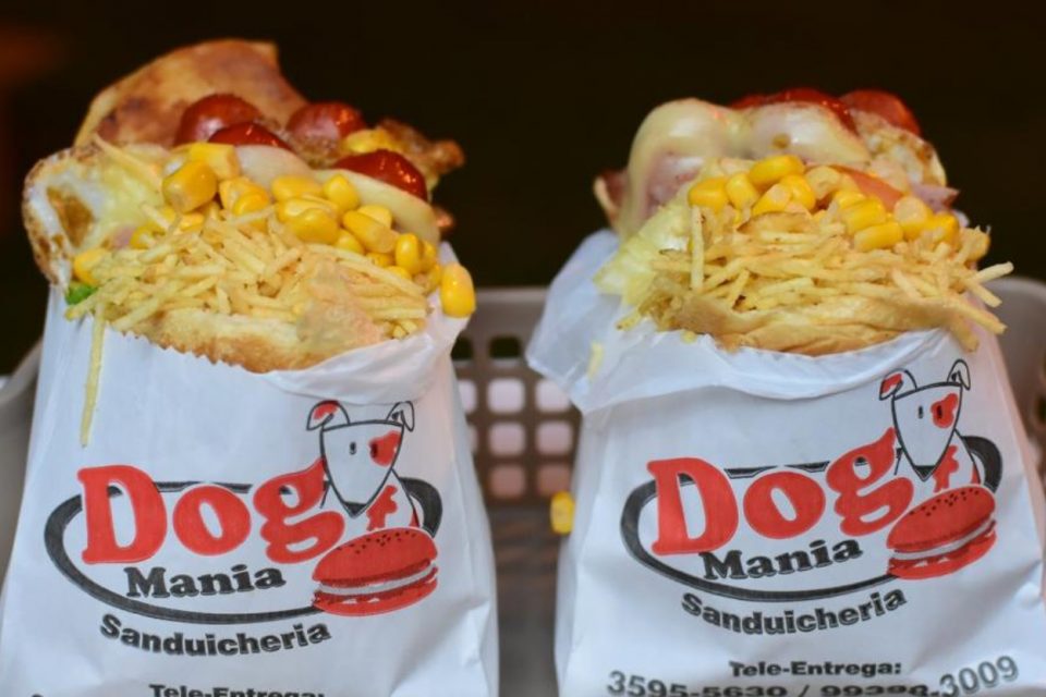 pit dogs em Goiânia