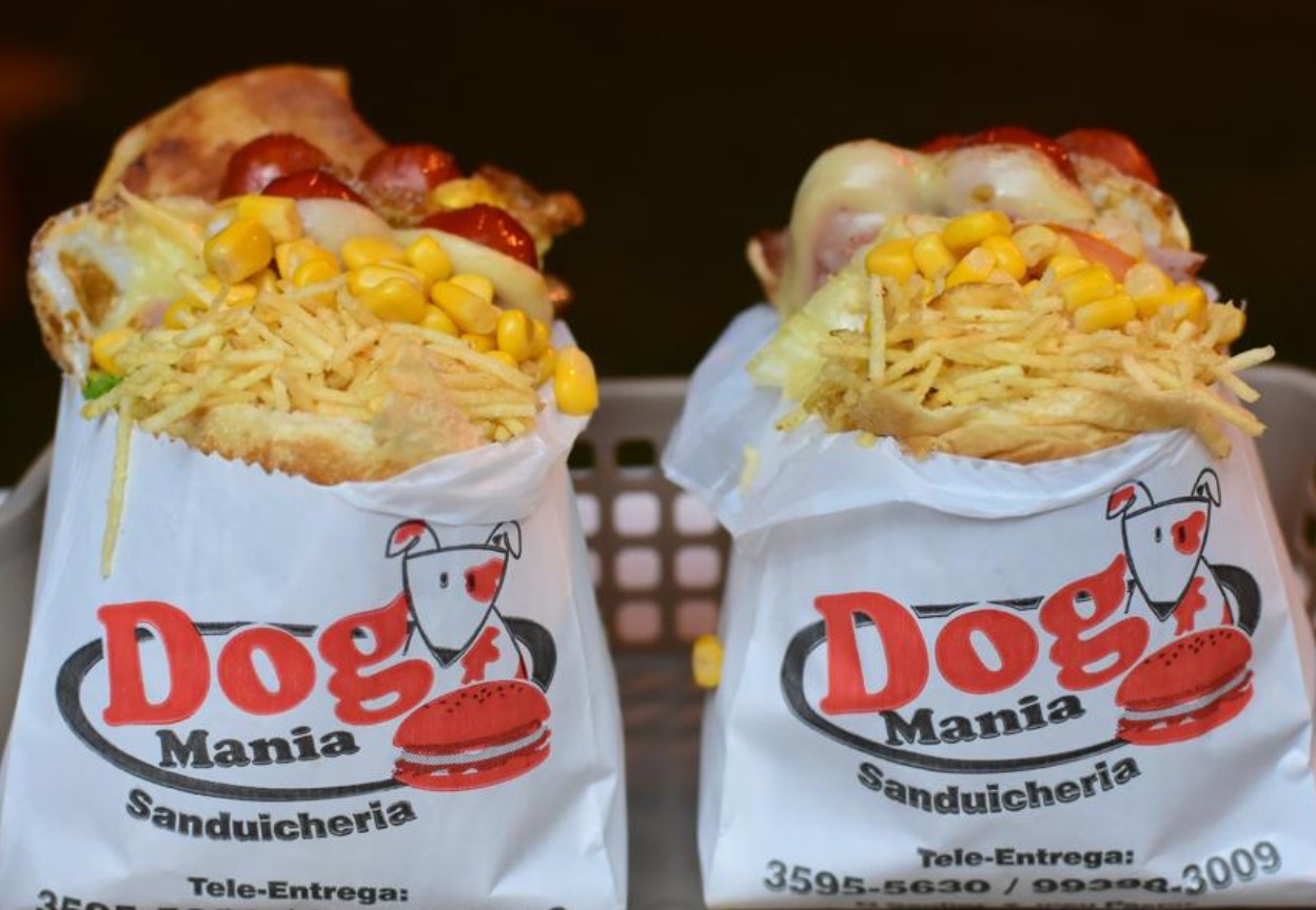 pit dogs em Goiânia