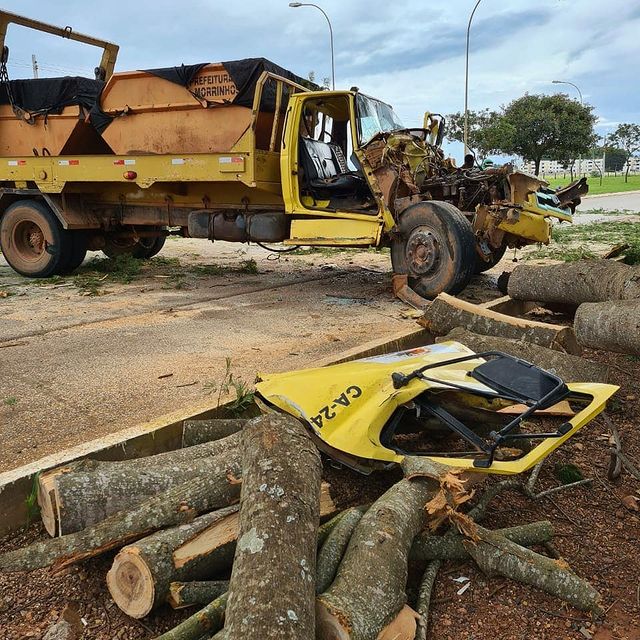 Além de causar o acidente, árvore obstruiu a passagem pela rodovia. Mas, logo foi removida pela equipe dos bombeiros.