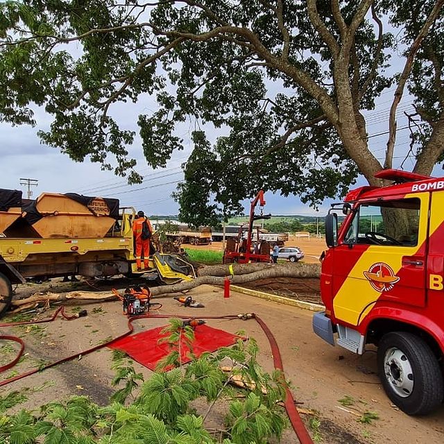 Além de causar o acidente, árvore obstruiu a passagem pela rodovia. Mas, logo foi removida pela equipe dos bombeiros.