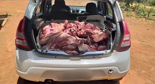 A Agrodefesa esteve no local e recolheu os produtos para descarte em aterro sanitário. 