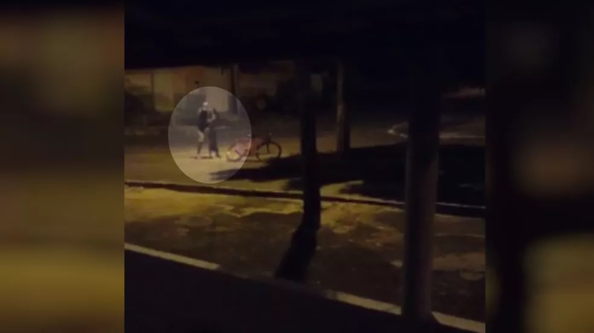 No vídeo é possível ouvir que o animal chora e fica aparentemente sem reação quando é agredido