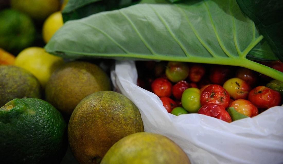 ONU: 931 milhões de toneladas de alimentos foram para o lixo em 2019
