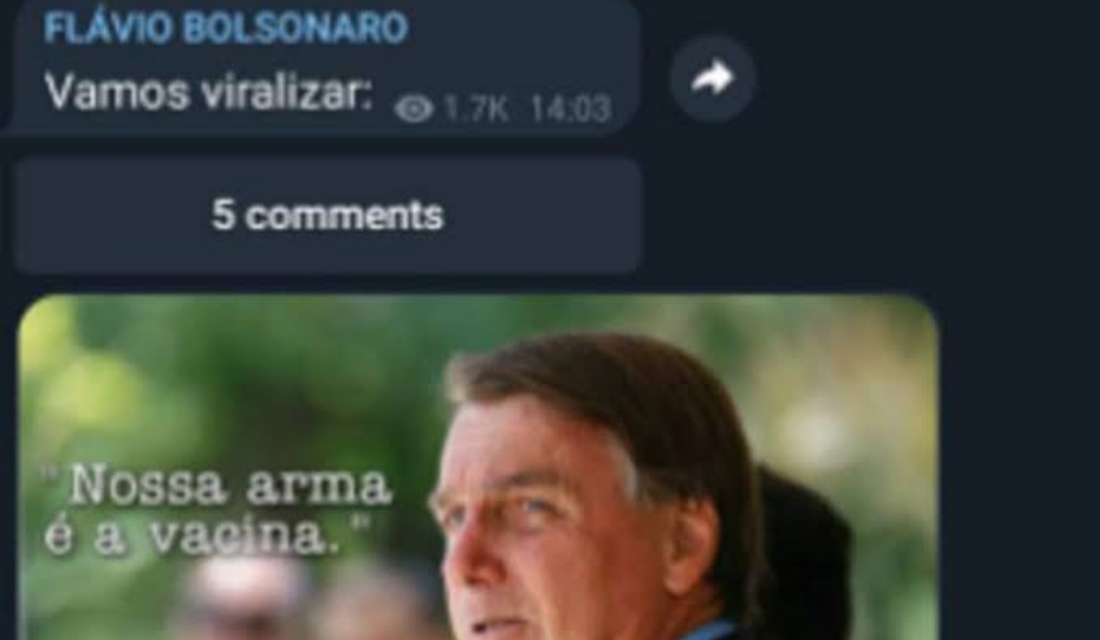 Print de Flávio Bolsonaro em um grupo de Whatsapp (Foto: Divulgação)