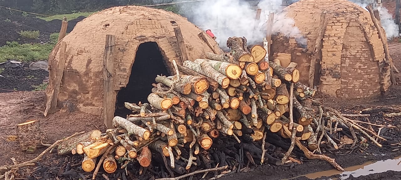 Fiscalização encontra carvoaria ilegal em loteamento irregular no lago Corumbá IV - A Polícia Civil e a Secretaria Estadual de Meio Ambiente e Desenvolvimento Sustentável (Semad) encontrou, na segunda-feira (1), uma carvoaria ilegal em loteamento
