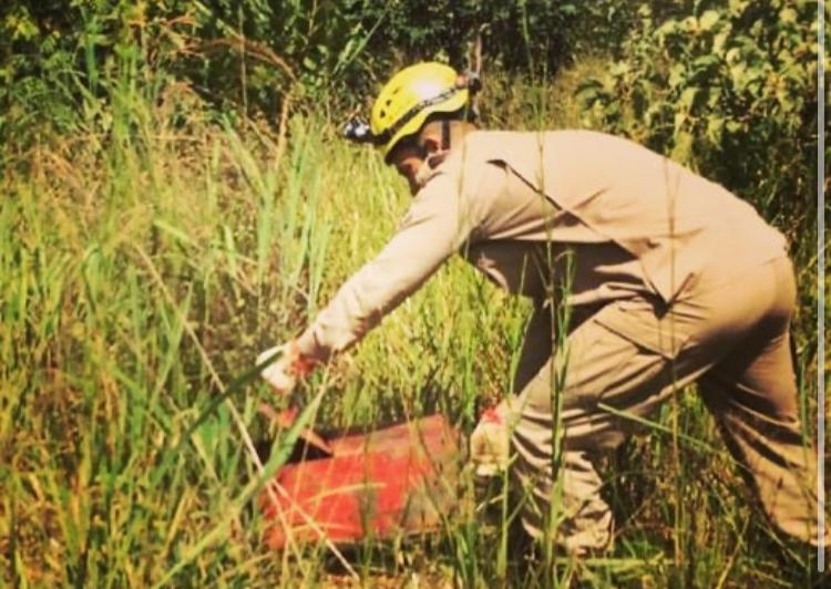 Em menos de 12 horas, bombeiros resgatam dois gambás em Luziânia Em menos de 12 horas, o Corpo de Bombeiros Militar (CBM) resgatou dois gambás em Luziânia, no entorno do Distrito Federa