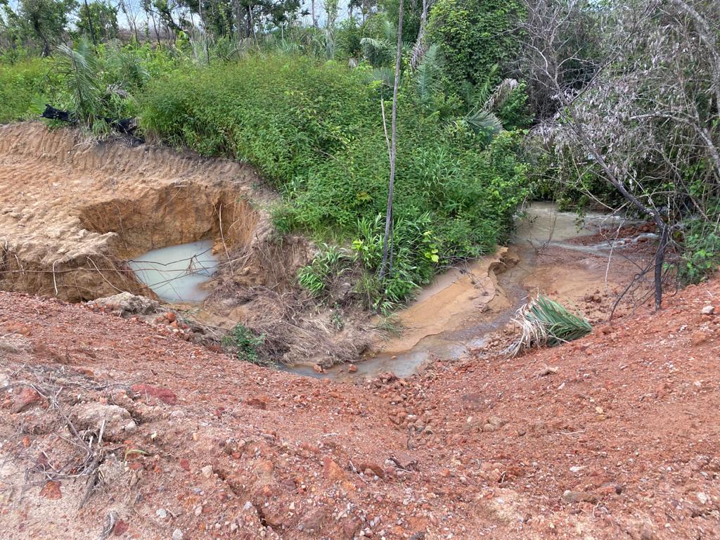 Desmatamento na Chapada dos Veadeiros gera multa de R$1,2 milhão à responsáveis (Foto: Divulgação/Semad)