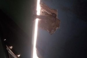 Polícia prende suspeito de torturar esposa em São Francisco de Goiás