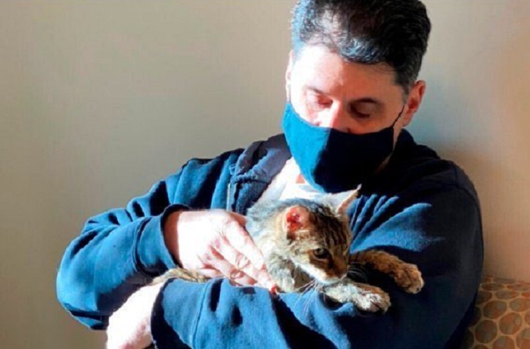 Gata desaparecida há 15 anos é encontrada nos EUA