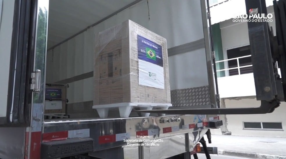 Novo lote com insumos para produção da Coronavac chega ao Brasil