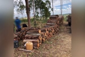 Preso suspeito de manter 11 funcionários em condição de escravidão em Abadiânia