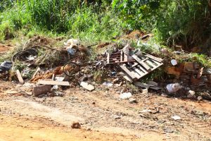 Descarte de Entulho no Córrego Buriti (Foto: Fernando Carrilho/SecomAparecida)