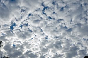 Goiânia pode ter chuva fraca de 5mm nesta terça-feira (27) (Foto: Jucimar de Sousa/Mais Goiás)