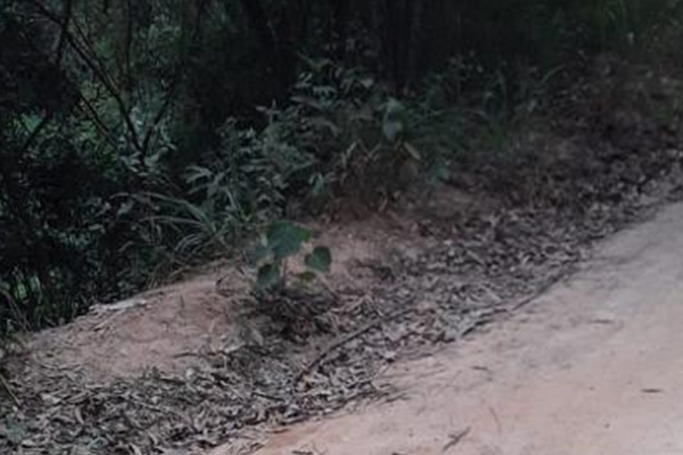 Cabeça humana é encontrada dentro de sacola em ponto de ônibus