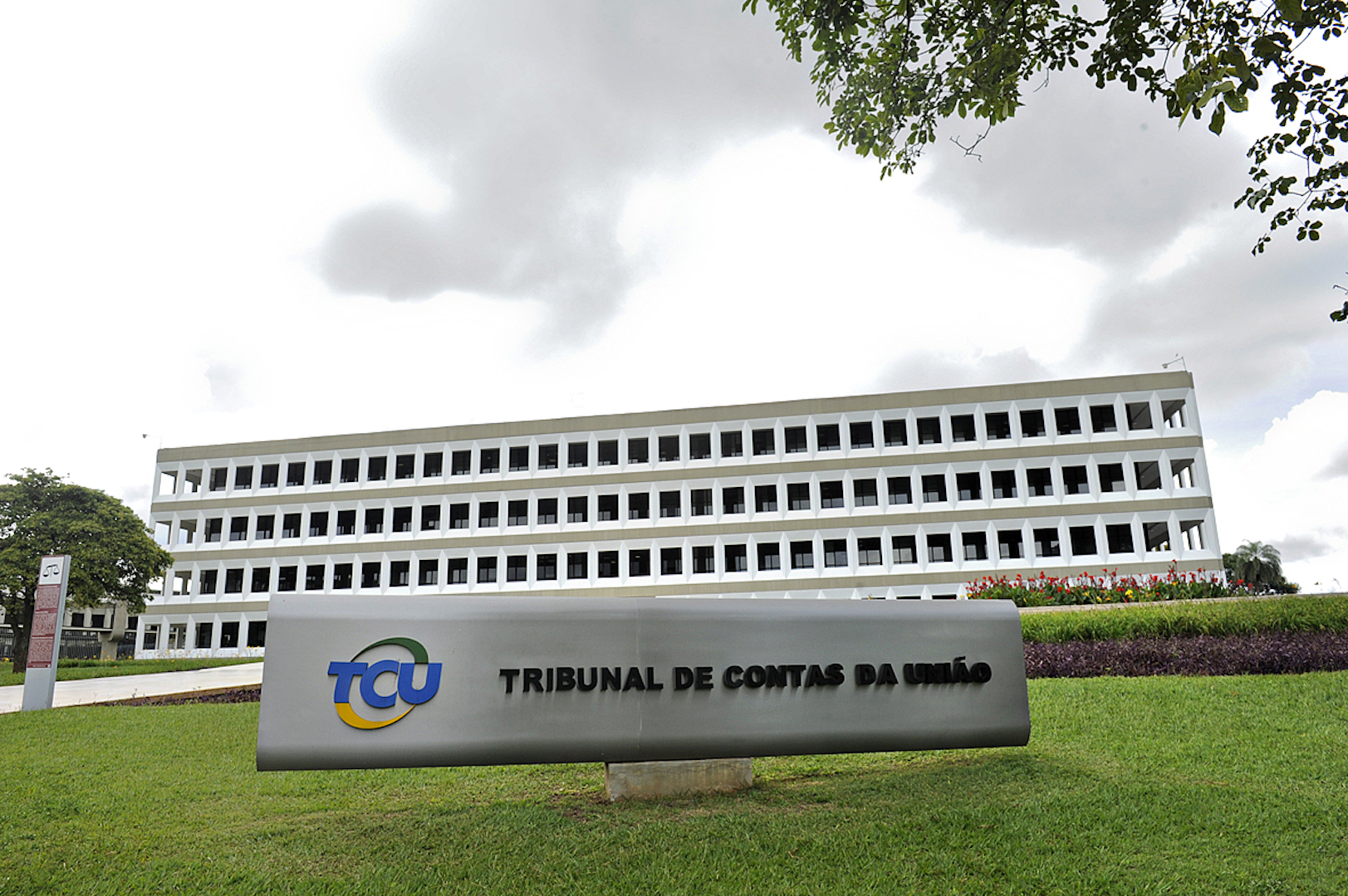 TCU começa a apurar compra de 35 mil comprimidos de Viagra para as Forças Armadas