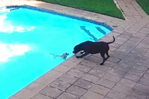 Jessie e o pequeno Chucky (Foto: Reprodução)