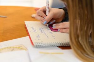 Câmara de Goiânia analisa projeto de ensino domiciliar