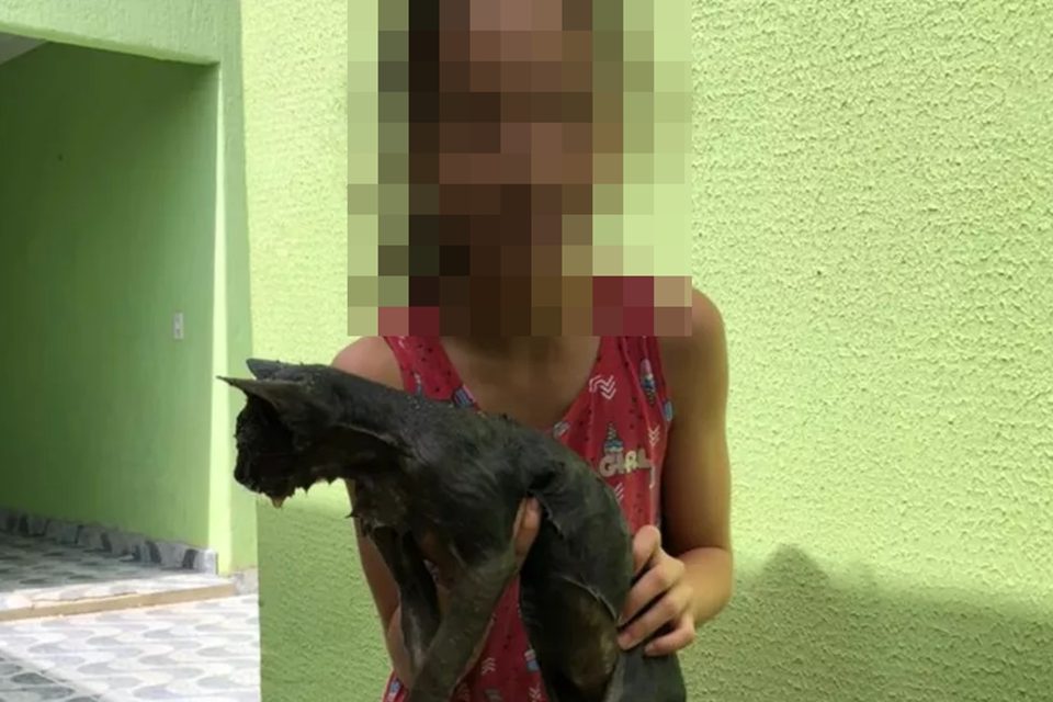 Em Anápolis, bombeiros quebram calçada para resgatar gato preso em cano