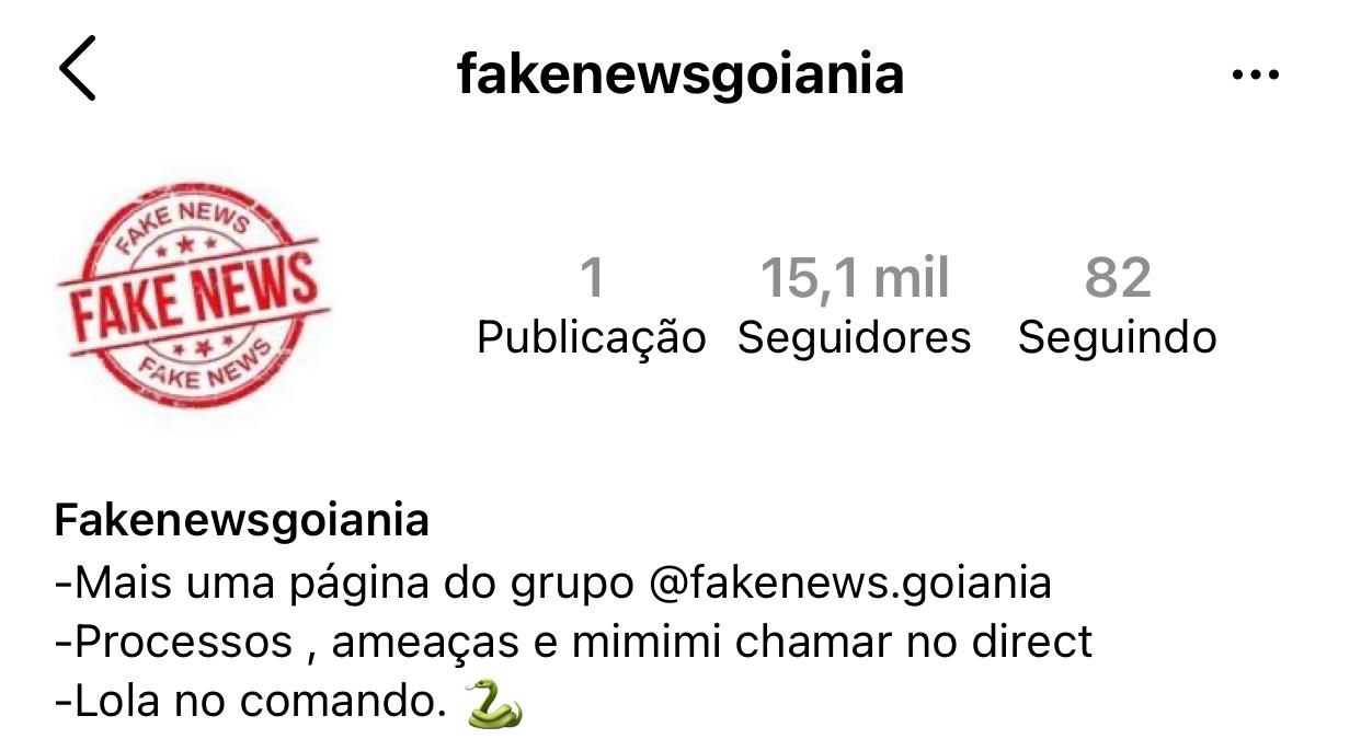 Perfil alvo da investigação (Print: PC)