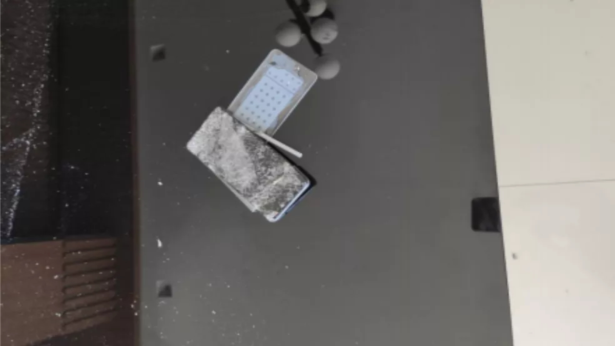 Revoltado com morte de cadela, homem agride esposa e quebra carro de luxo dela (Foto: Divulgação/PM)