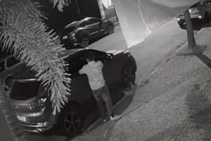 Polícia prende investigado por furtar objetos de 7 veículos, em um mês, em Goiânia (Foto: Divulgação/Polícia Civil)