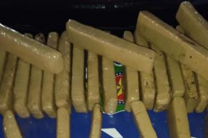 PM encontra 28 kg de maconha enterrados em quintal de Aparecida