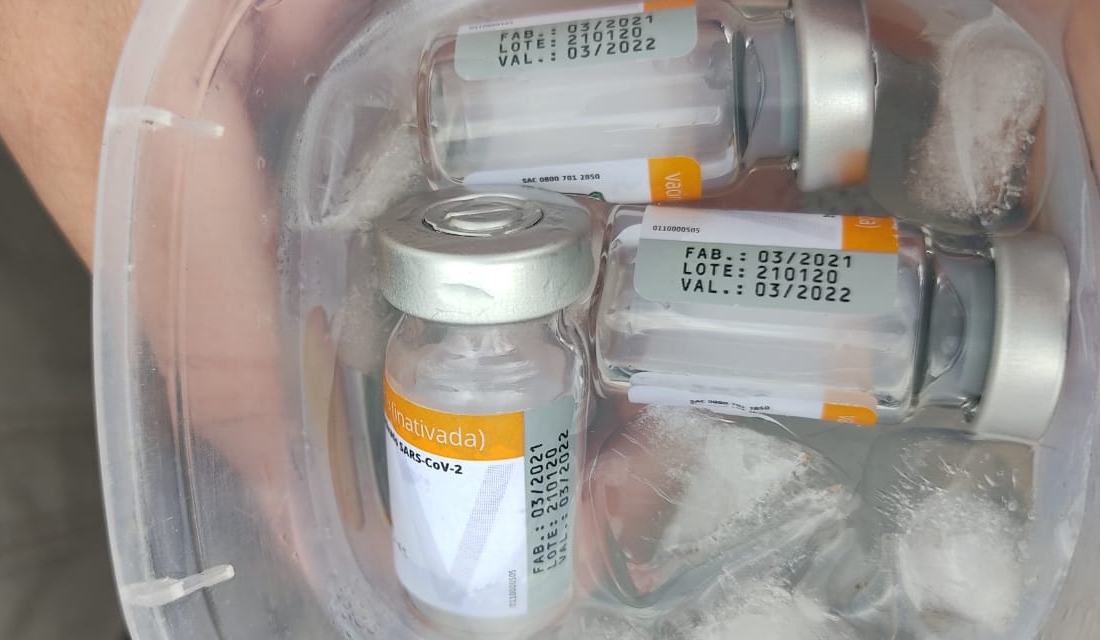 As doses da Coronavac vendidas por um homem em Senador Canedo foram furtadas da Secretaria de Estado da Saúde (SES-GO)(Foto: Reprodução/Polícia Militar)