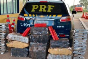 Droga apreendida está avaliada em R$ 300 mil, segundo a Policia Rodoviária Federal