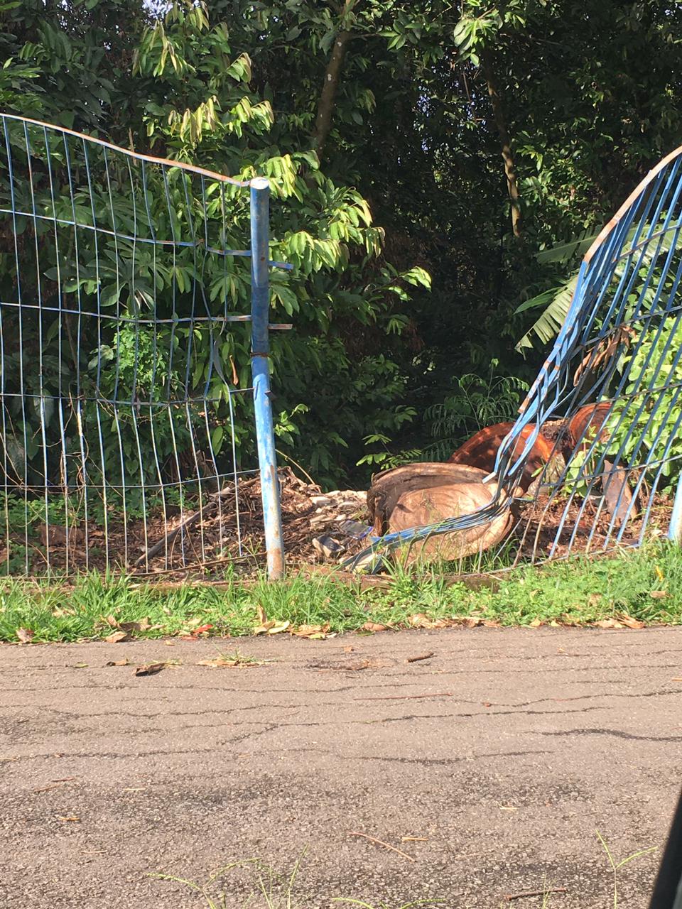 Grade depredada no Parque Tamanduá favorece degradação de mata interna (Foto: Arquivo Pessoal)