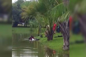 Reconhecimento do corpo ainda não foi feito (Foto: leitor/Mais Goiás)