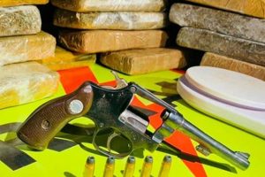 Polícia prende suspeito de tráfico e apreende R$ 50 mil em drogas, em Goiânia